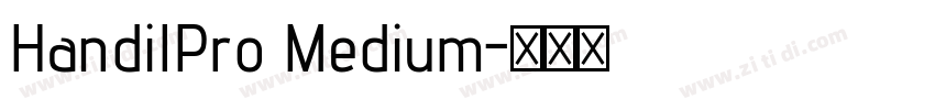 HandilPro Medium字体转换 HandilPro Medium字体转换